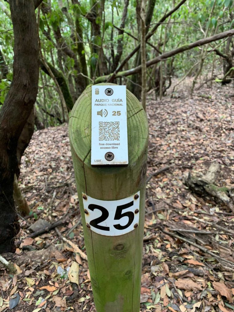 Ruta 2 del Parque Nacional de Garajonay