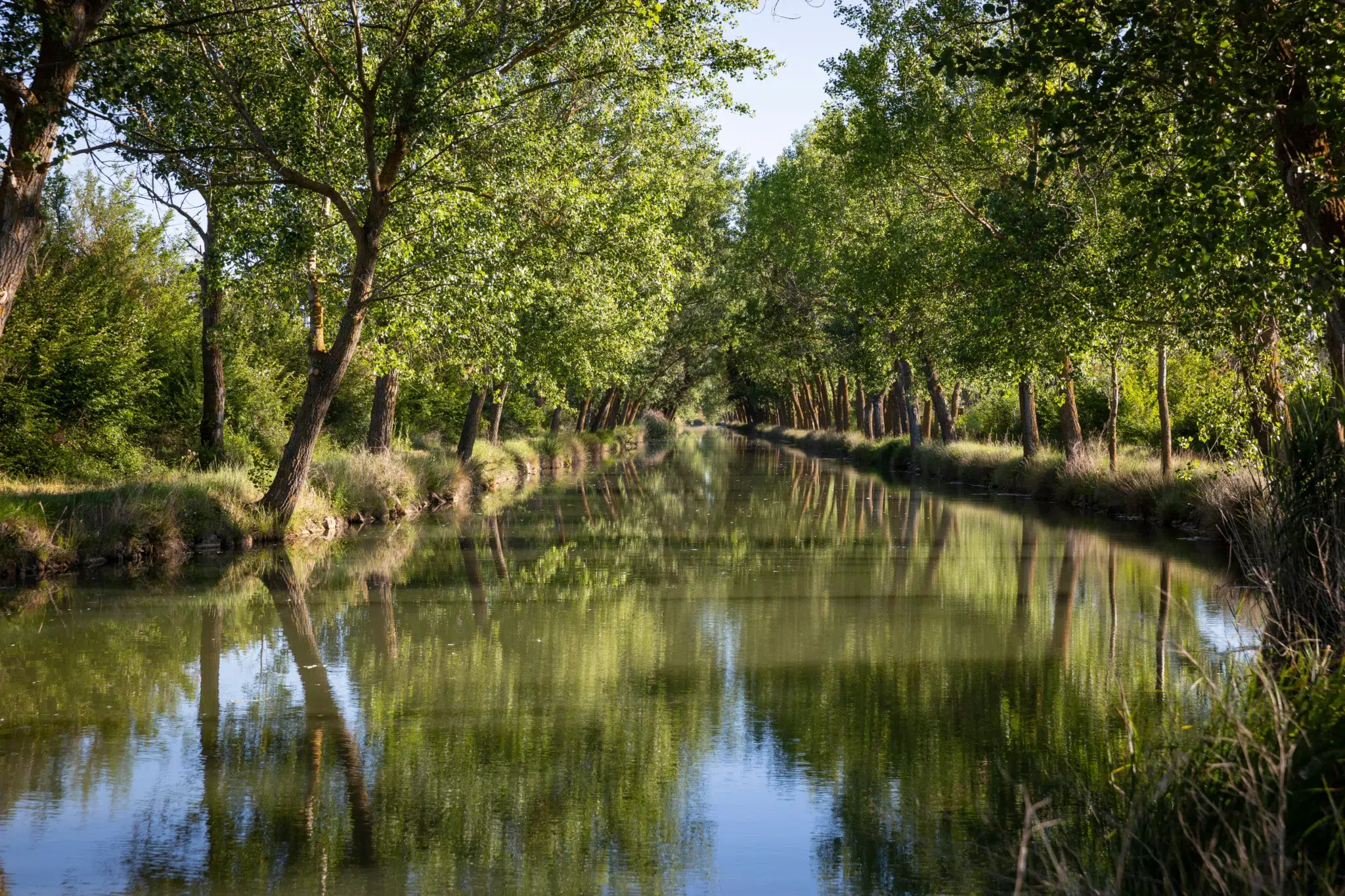 Canal de Castilla. Por Jorge Anastacio
