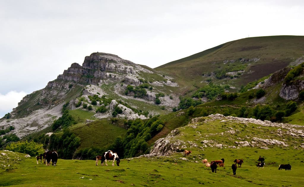 Monte Gorbea