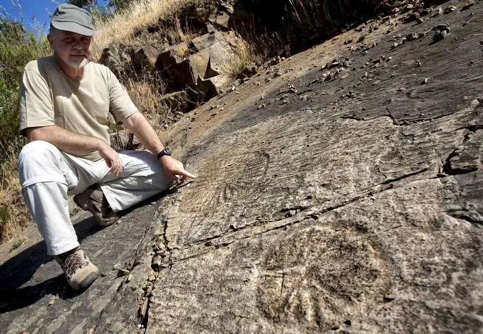 El gran cementerio de medusas de España