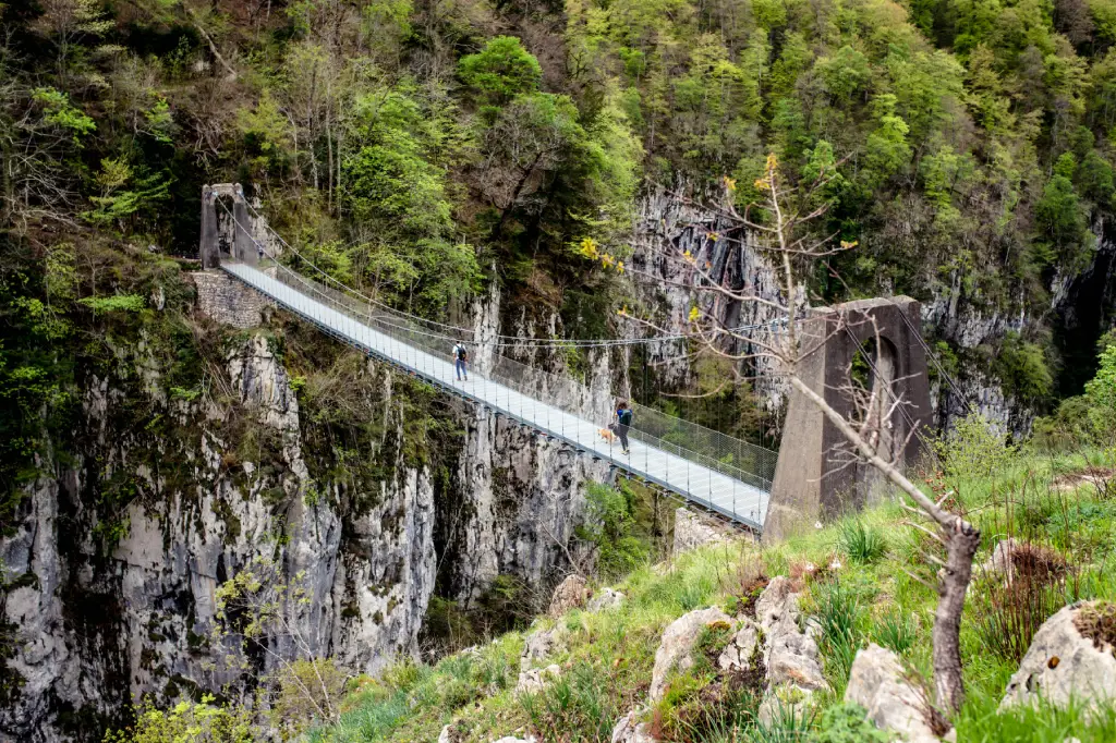 Pasarela de Holtzarte (Larrau-Francia)