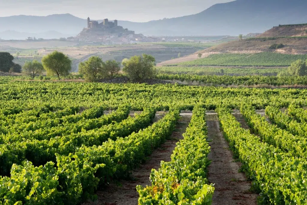 San Vicente de la Sonsierra. La Rioja. Fuente: Alberto Loyo