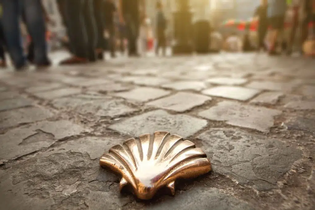 Detalle en el Camino de Santiago. Por artjazz