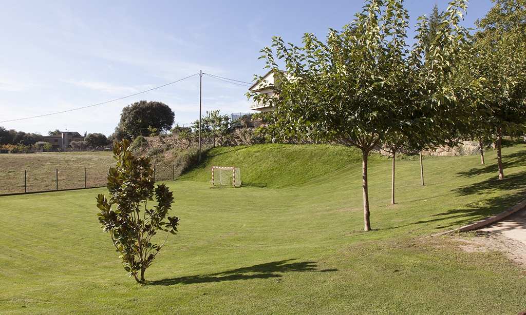 Un pequeño campo de fútbol de hierba con una única portería, rodeado de árboles jóvenes y una valla, bajo un cielo azul despejado. Al fondo se ven una casa y más árboles.