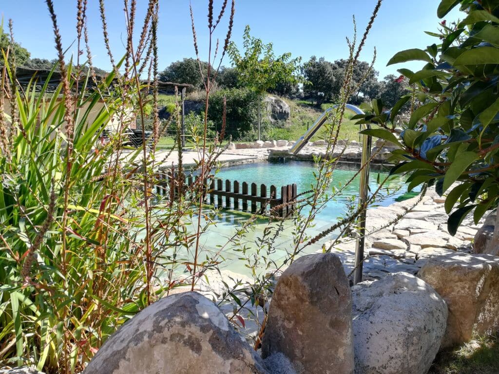 Piscina natural rodeada de rocas y exuberantes plantas verdes, con una valla de madera en el agua y árboles al fondo bajo un cielo azul despejado.