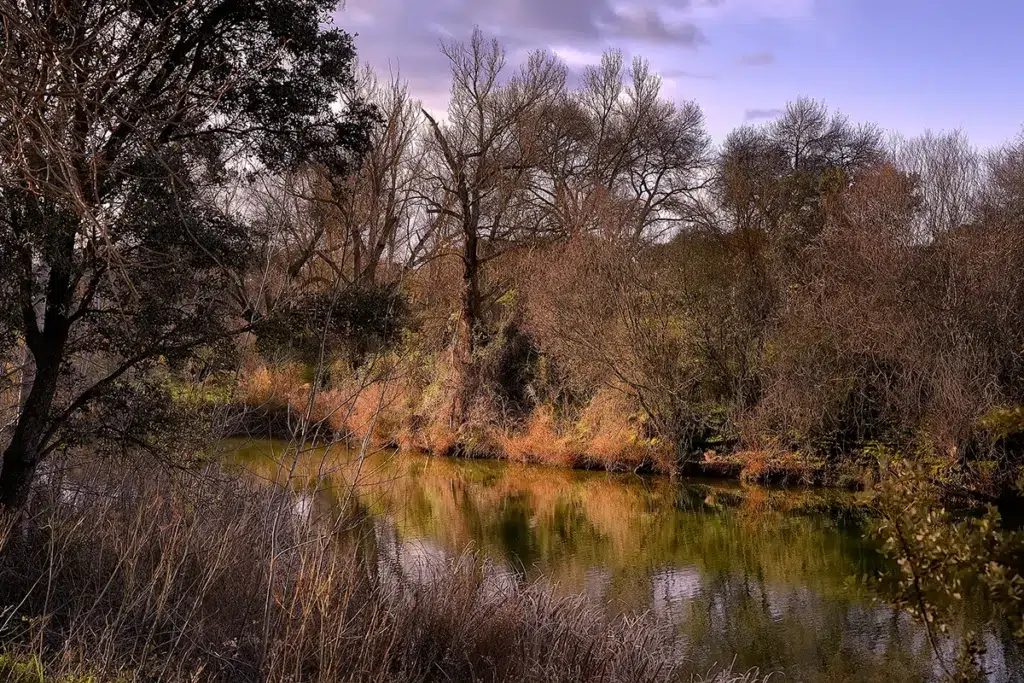 Sendero ecológico del corredor ambiental del Manzanares, en Madrid.