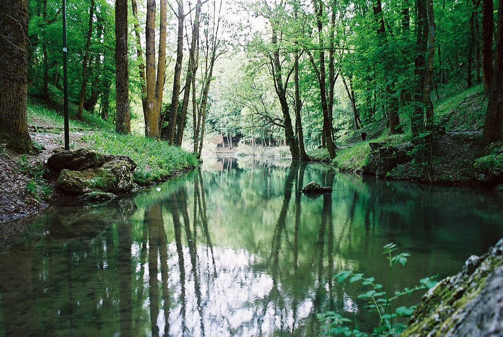 Nacimiento del Ebro