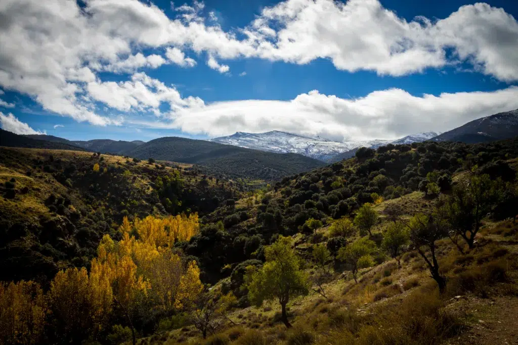 Bosque Encantado de Camarate, en Sierra Nevada, Granada. Por fjgalcaraz