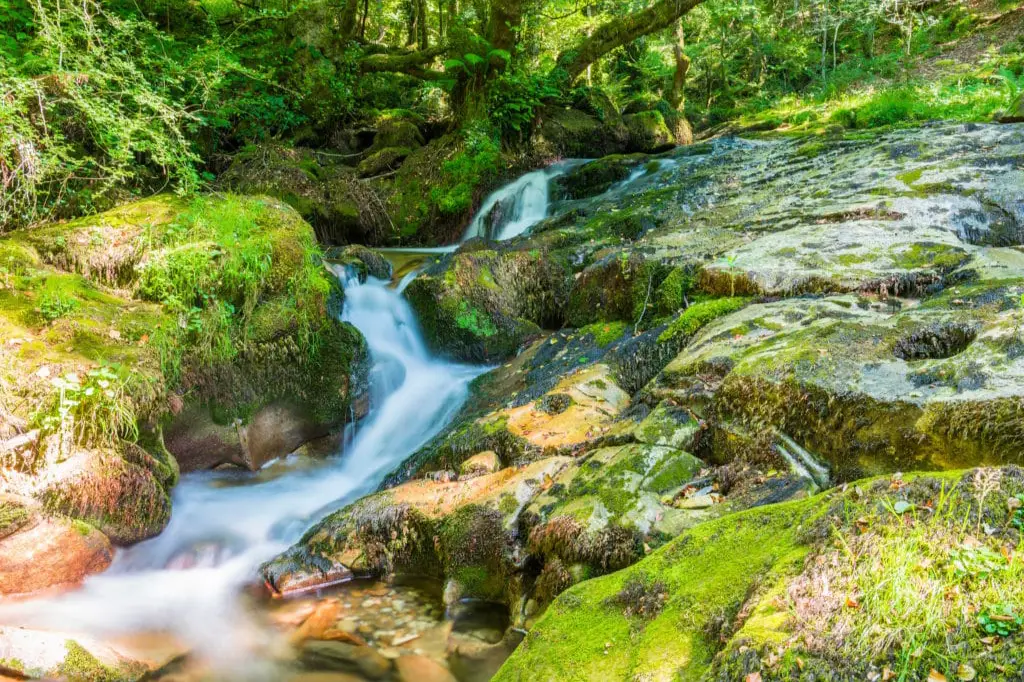 Cascadas cerca del nacedero del río Zirauntza (Álava)