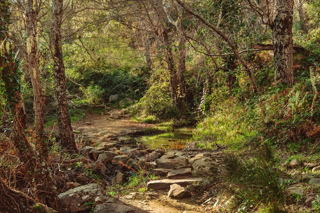 Ruta del río de la Miel. Por IsmaelEstevez