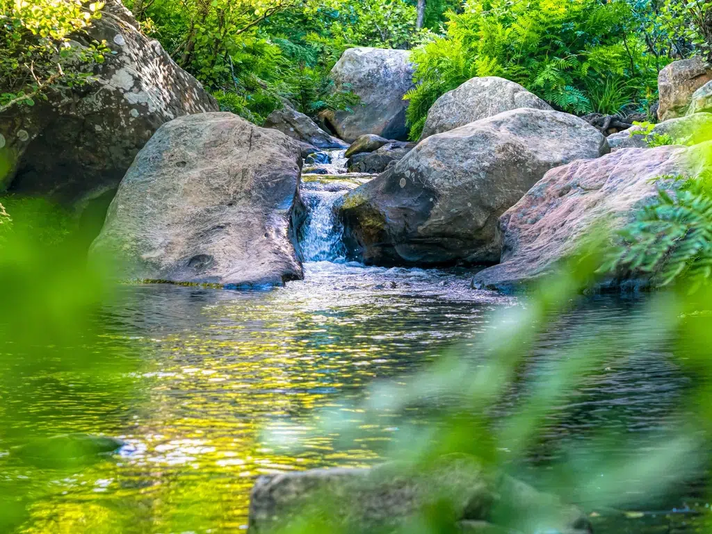 Ruta del río de la Miel. Por Algecireño
