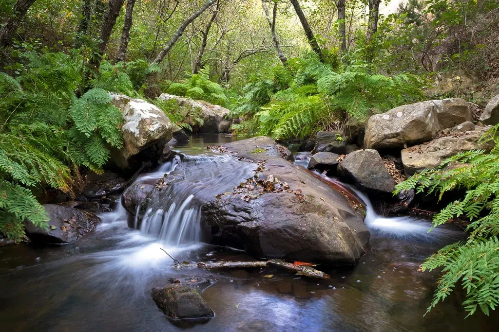 Ruta río de la Miel. Por inigolaitxu
