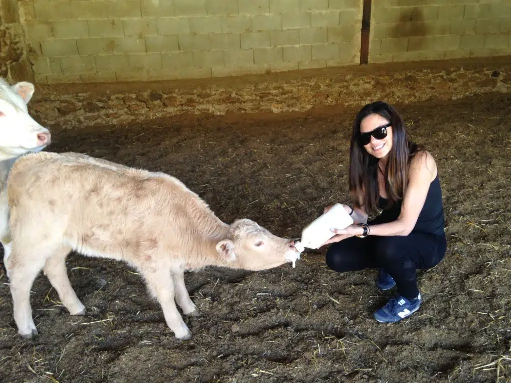 Agroturismo El Capriolo (Madrid)