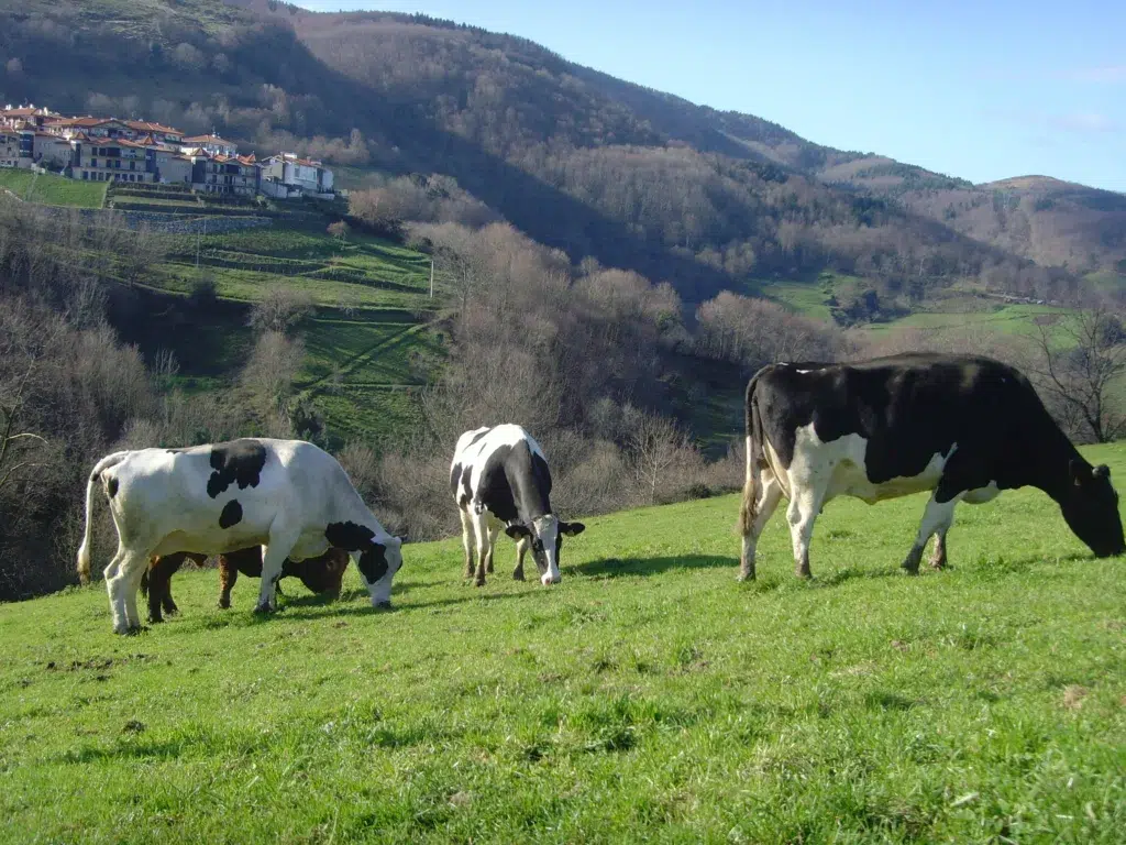 Agroturismo Azkue (Guipuzcoa)