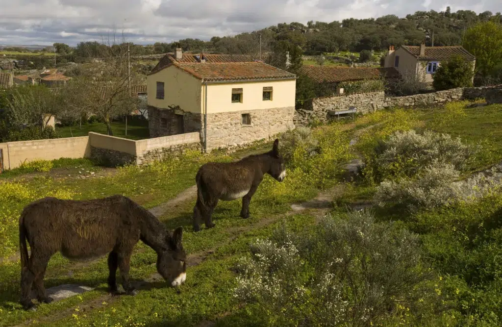 Casa de los Arribes (Zamora)