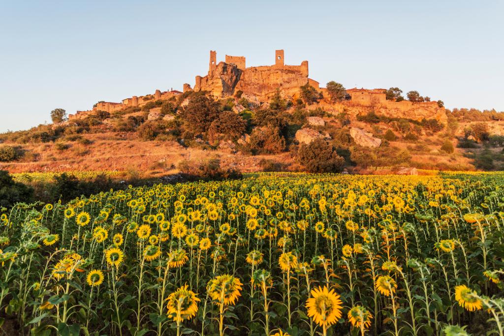 Castillo de Calatañazor (Soria)