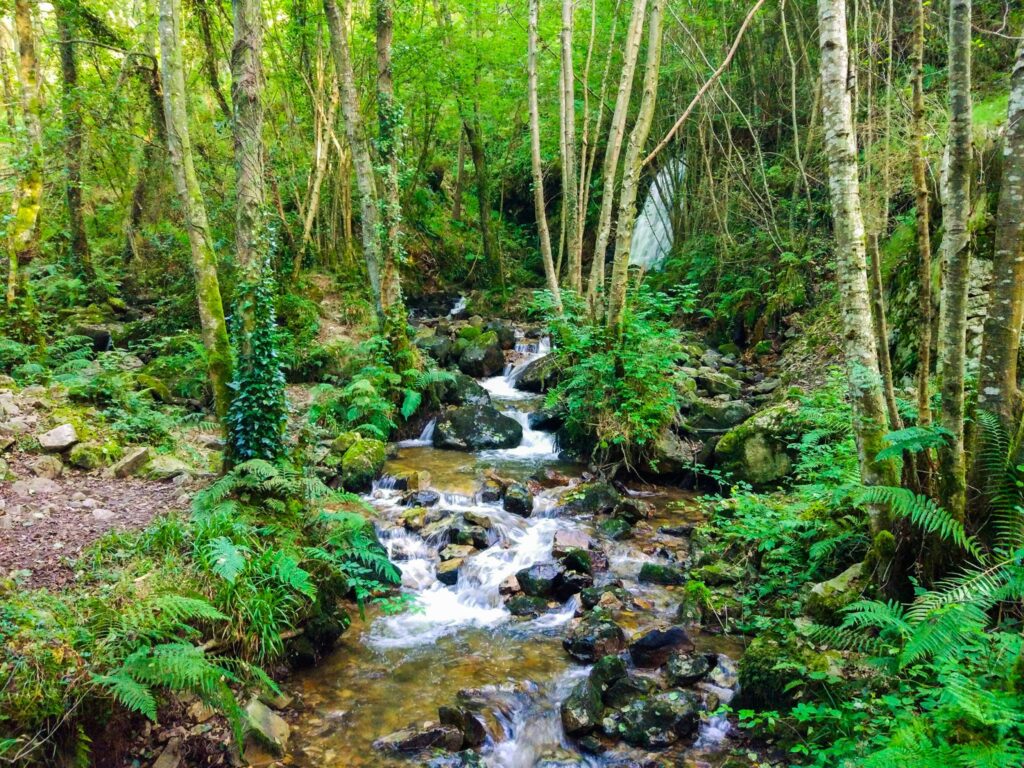 Ruta a la cascada de Nonaya, Asturias. Por Jesus Barroso