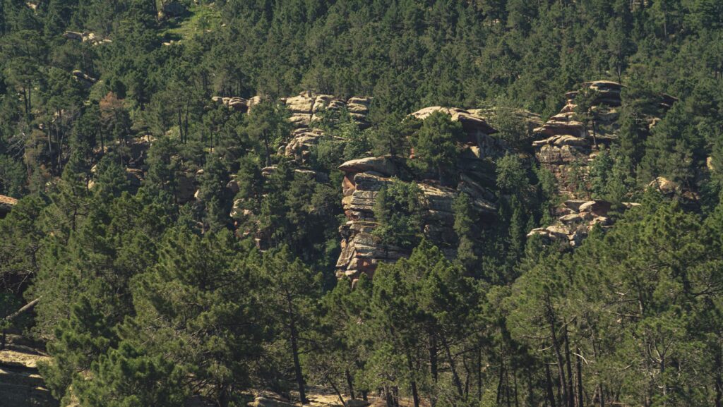 rutas por pinares de rodeno
