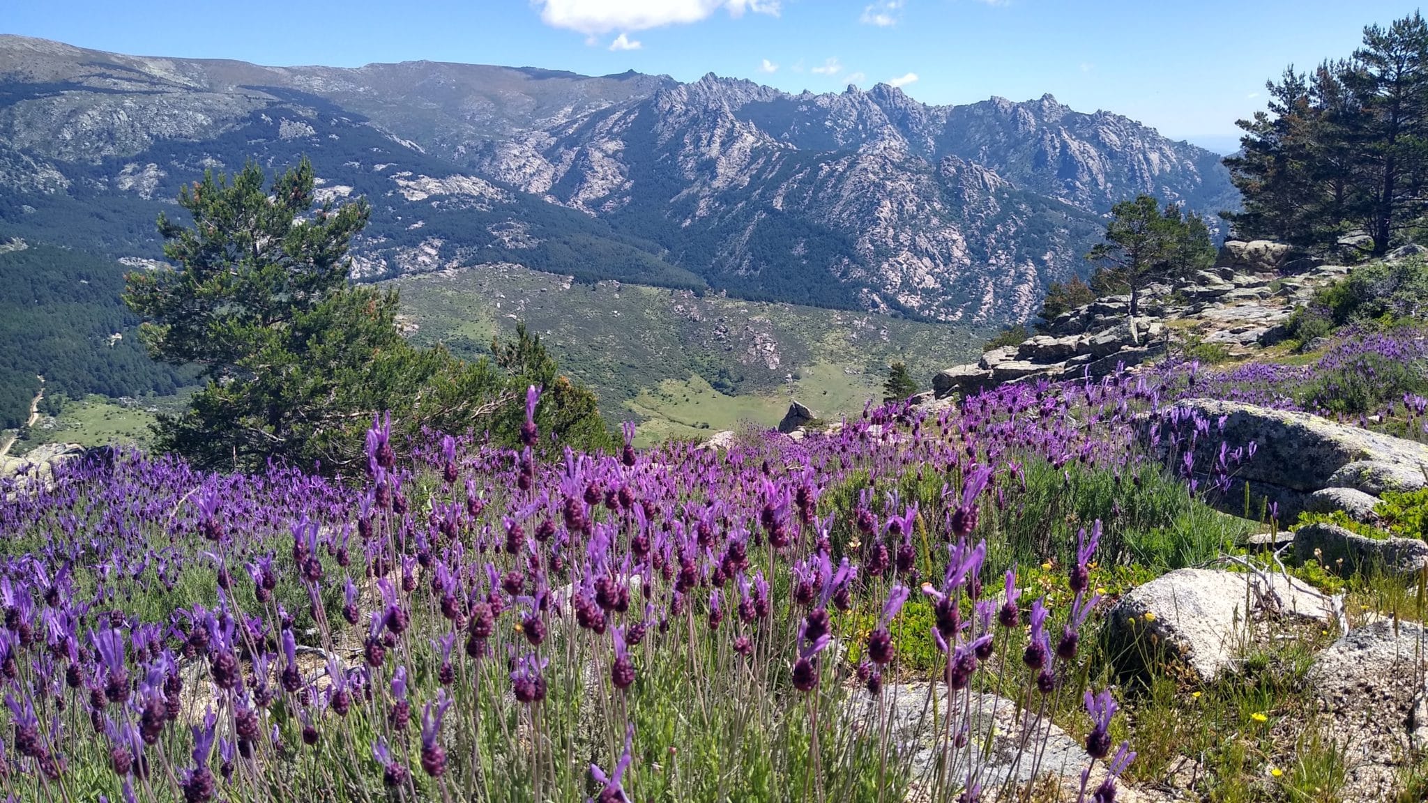 La Pedriza. Por: javisanx