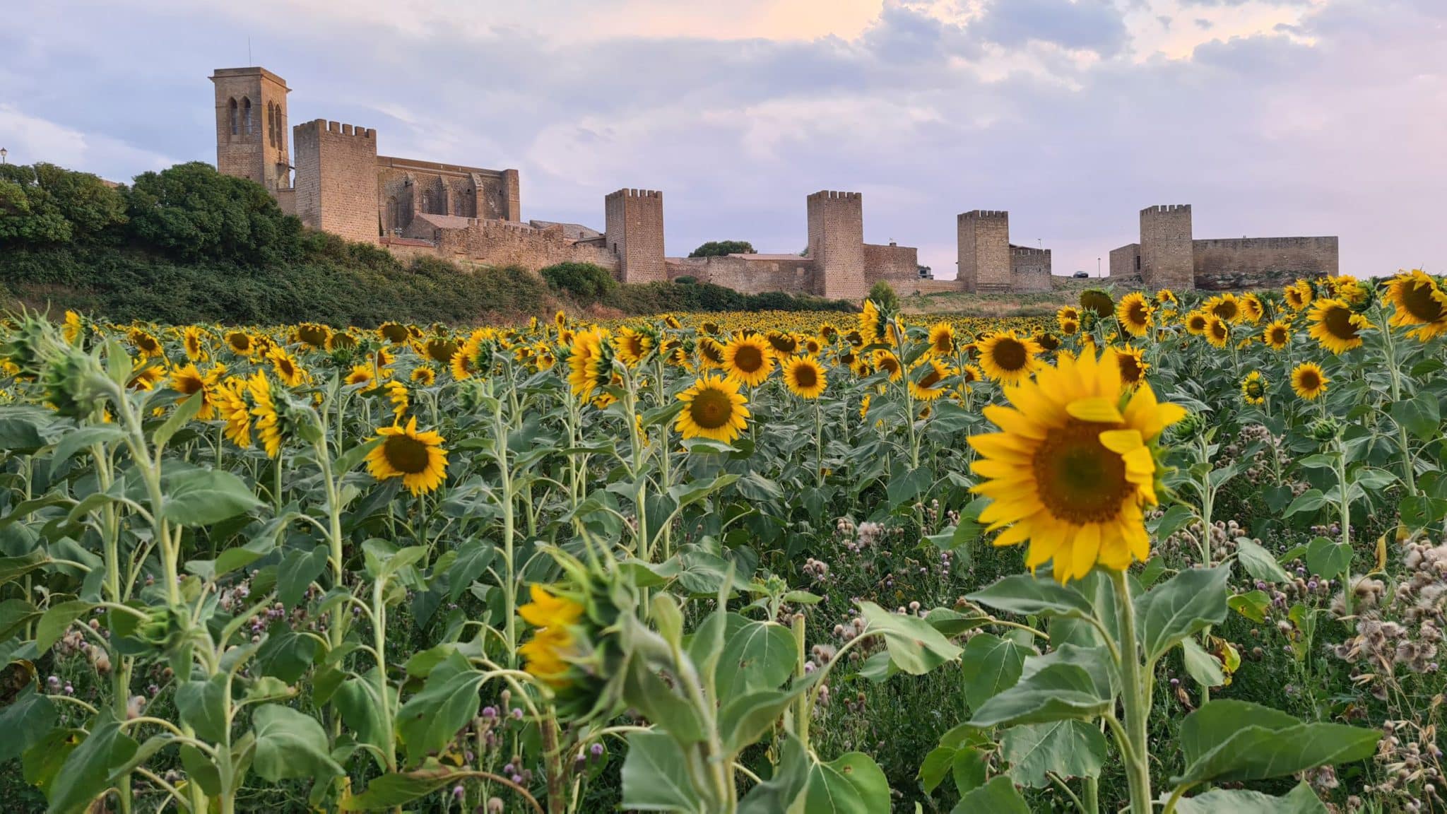 Los 5 pueblos imprescindibles que visitar este verano
