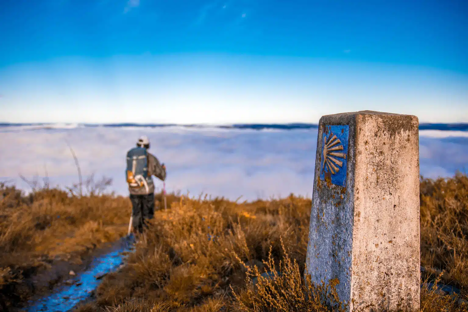 El Camino de Santiago, visto por anfitriones: “Somos más conscientes de las despedidas que los peregrinos”