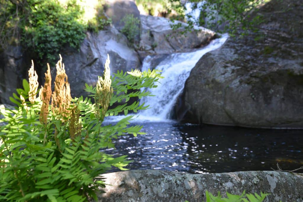La Gasparina