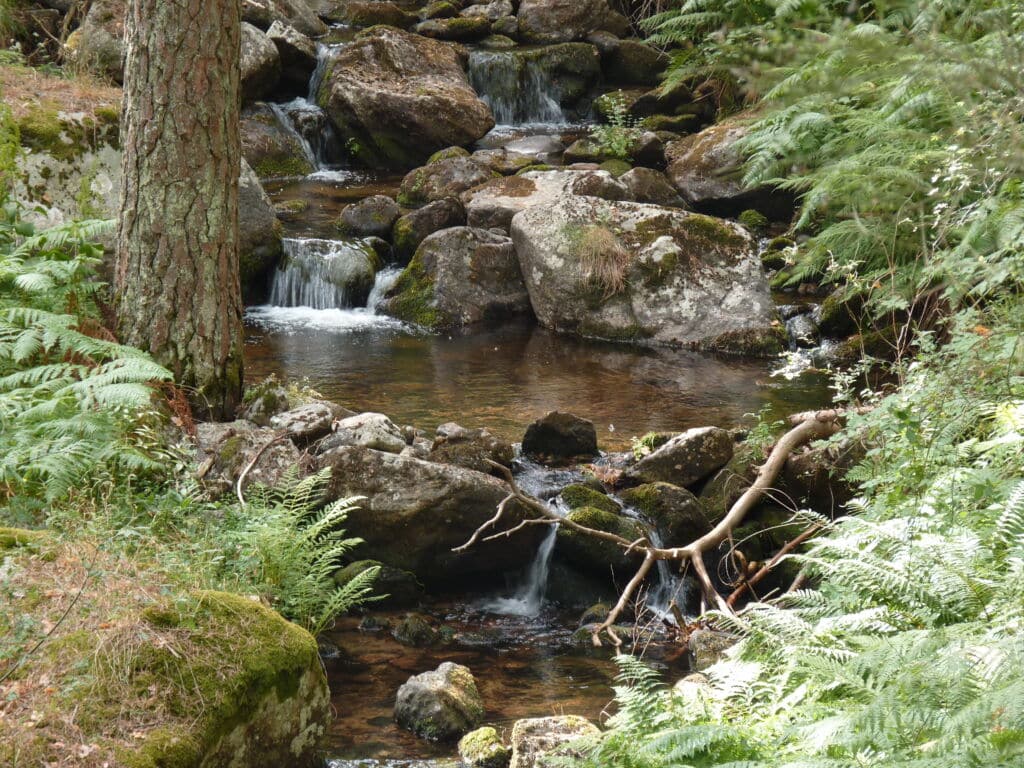 Piscina natural del Chorro de Navafría (Segovia).