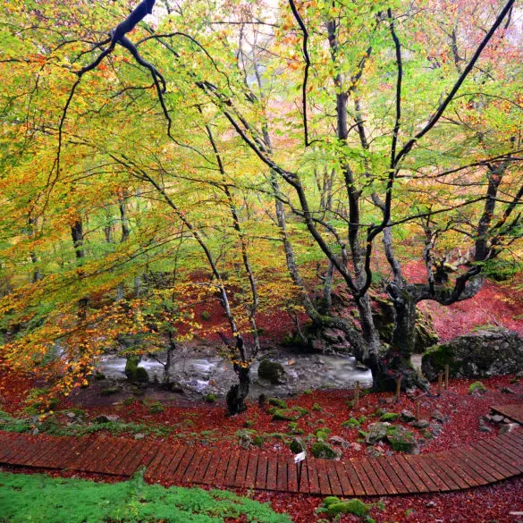 Otoño en Castilla y León