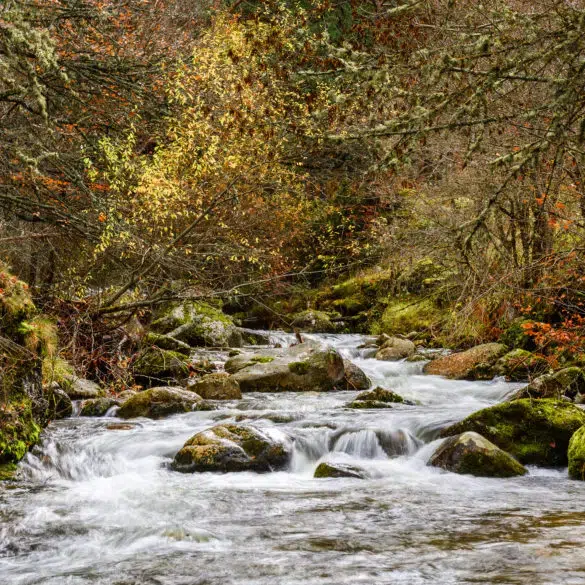 Otoño en La Rioja
