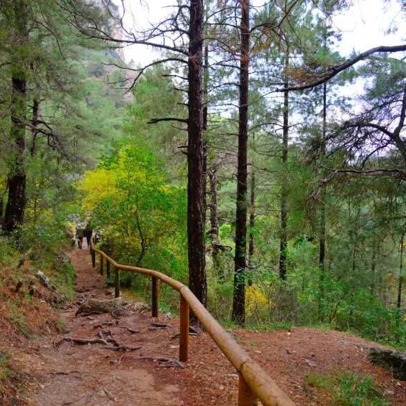 Otoño en Castilla y León