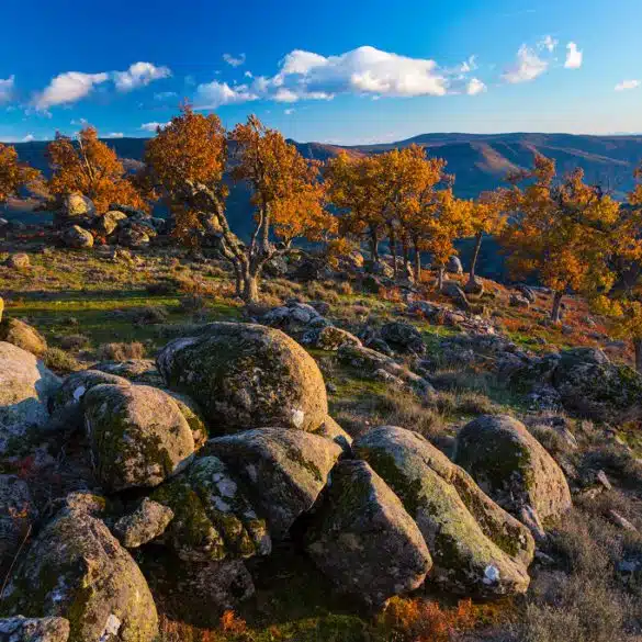 Otoño en Extremadura