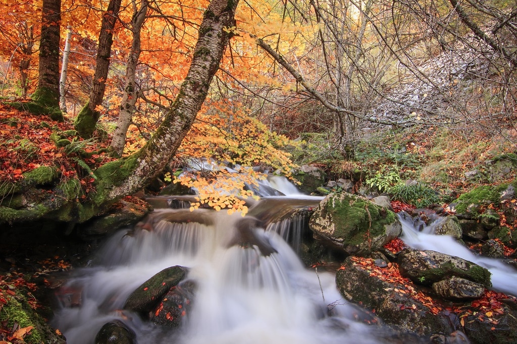 Río en la Sierra de la Demanda, otoño en La Rioja