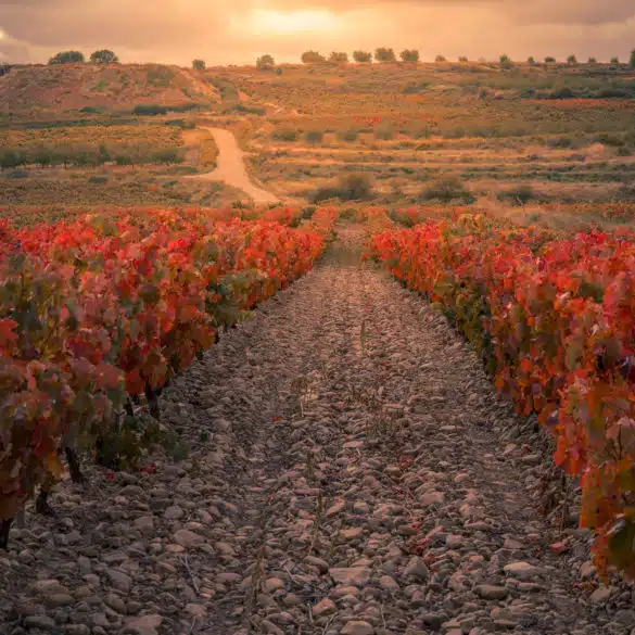 Otoño en La Rioja