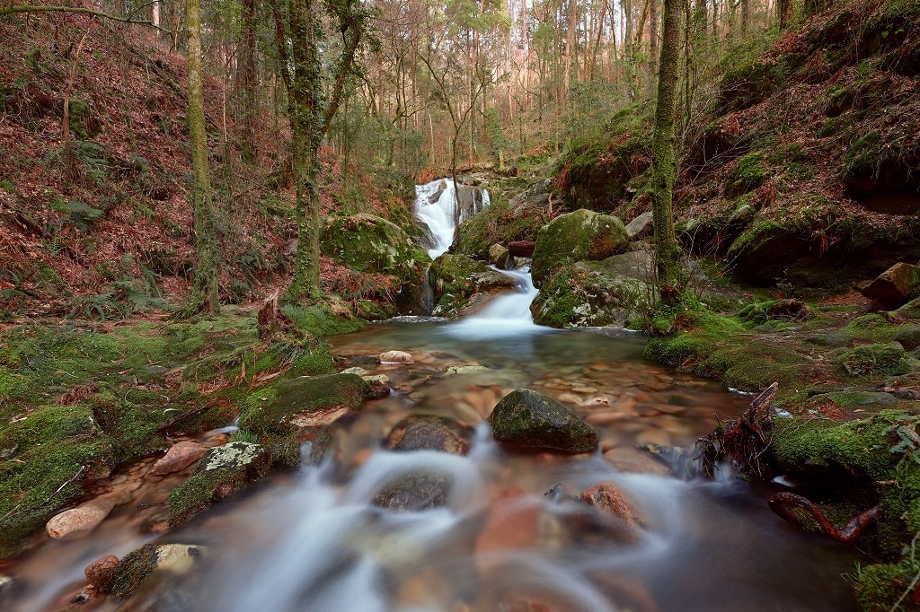 Otoño en Galicia
