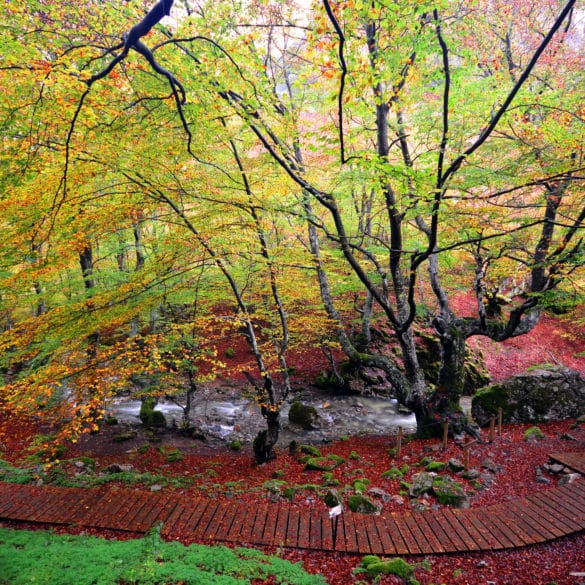 Planes para una escapada rural en otoño en Castilla y León