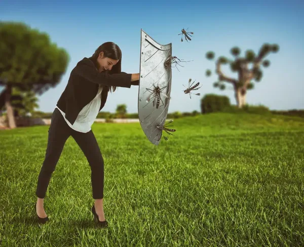Mosquitos