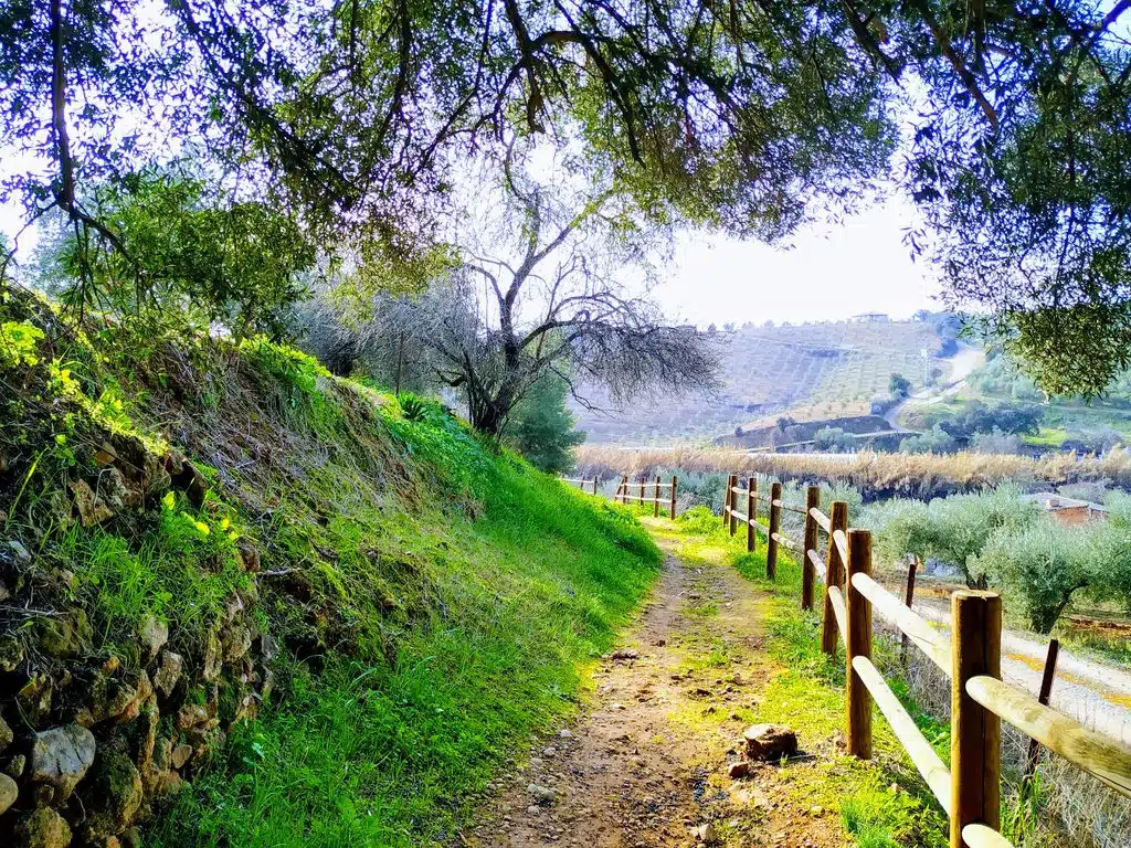 Rutas en Córdoba. Por Turismo de Adamuz