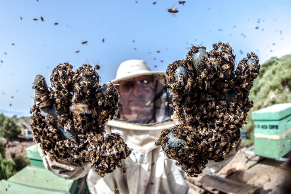 Todos necesitamos el mundo rural, el potente mensaje de FotoRural 2020
