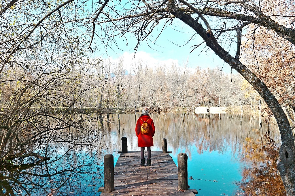 Invierno en el Bosque Finlandés de Rascafría