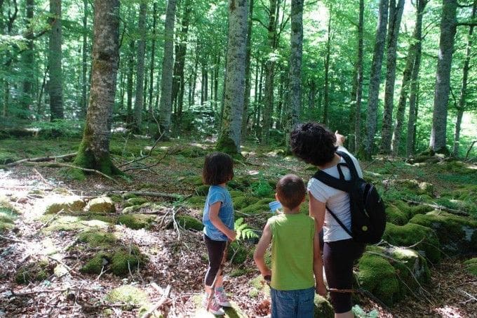 La experiencia de unos bloggers en Tierra Estella cerrará el Foro Innavar