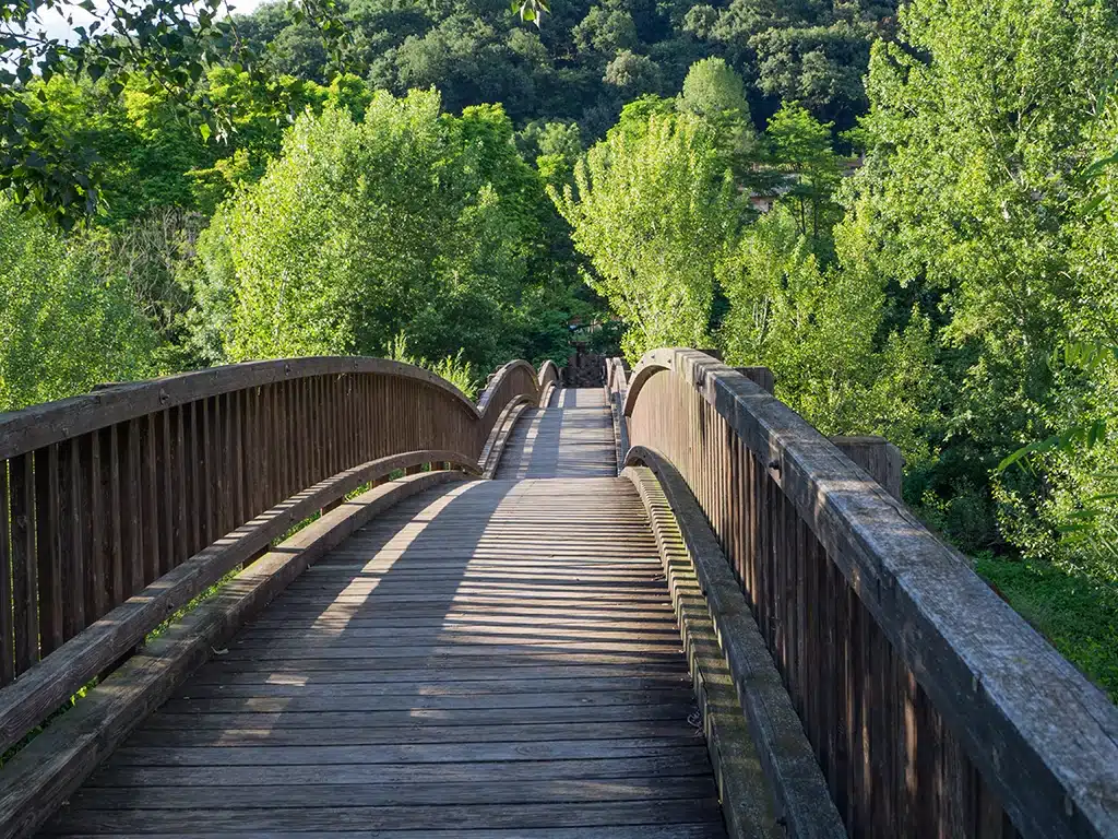 Puente en Castellfollit de la Roca