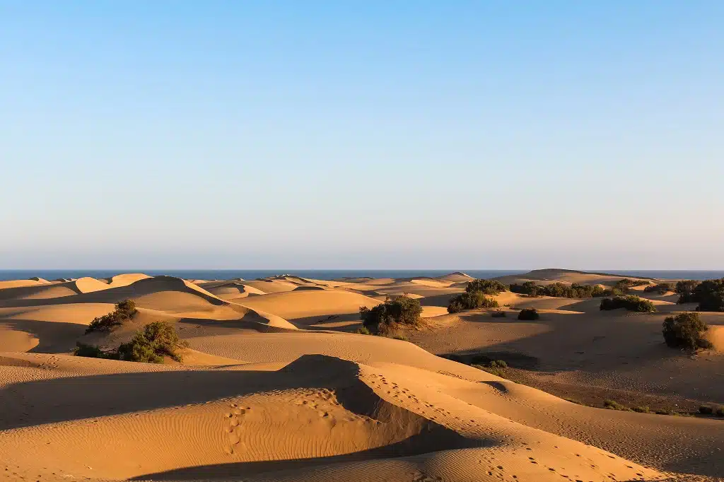 Dunas de Maspalomas