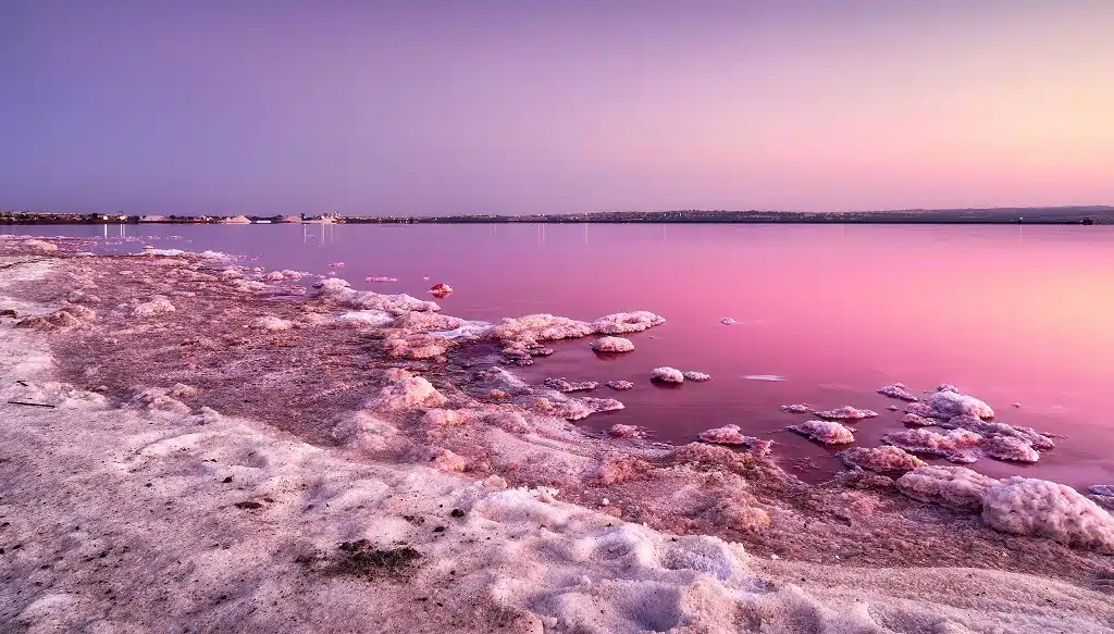 lago de sal rosa de las salinas de Torrevieja