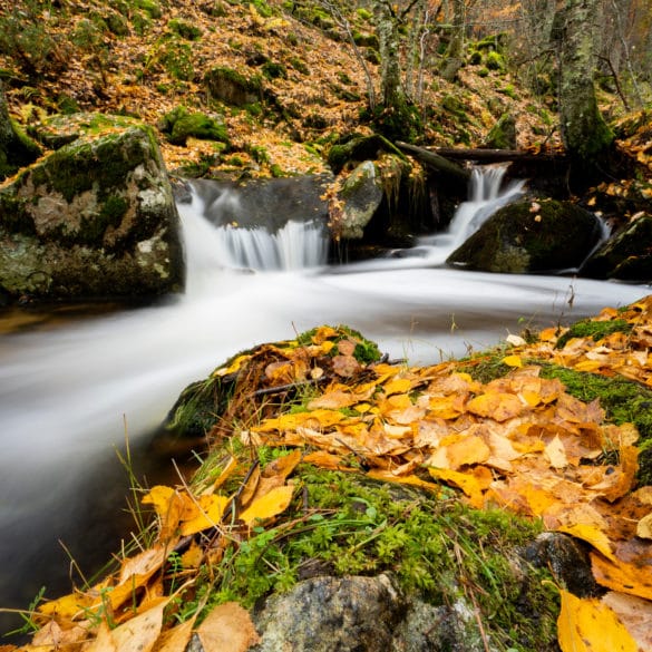 Planes para una escapada rural en otoño en Madrid