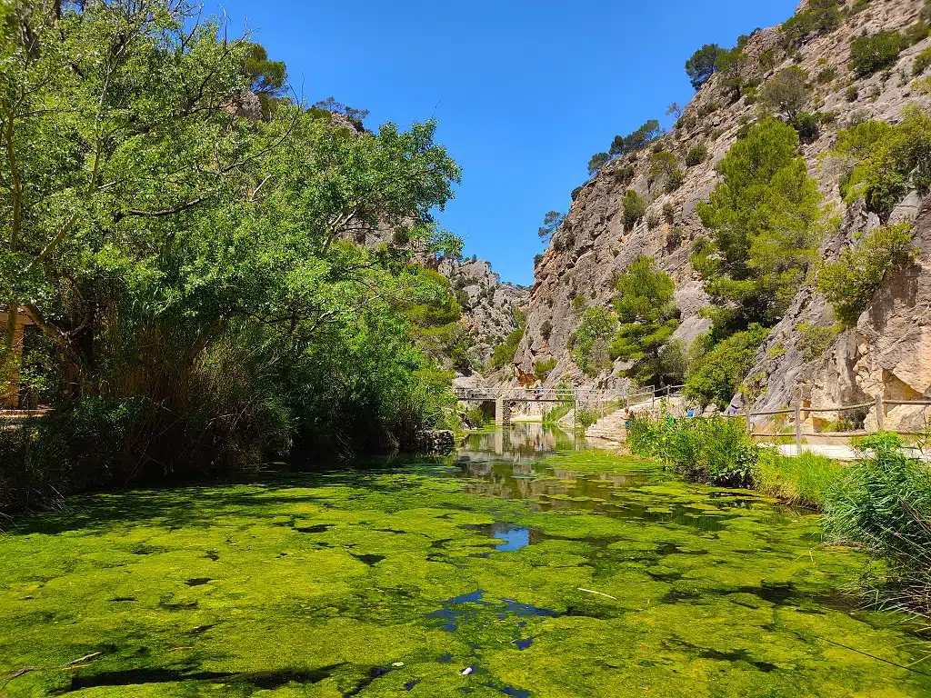 Día del Medioambiente: Riu de la Canaleta