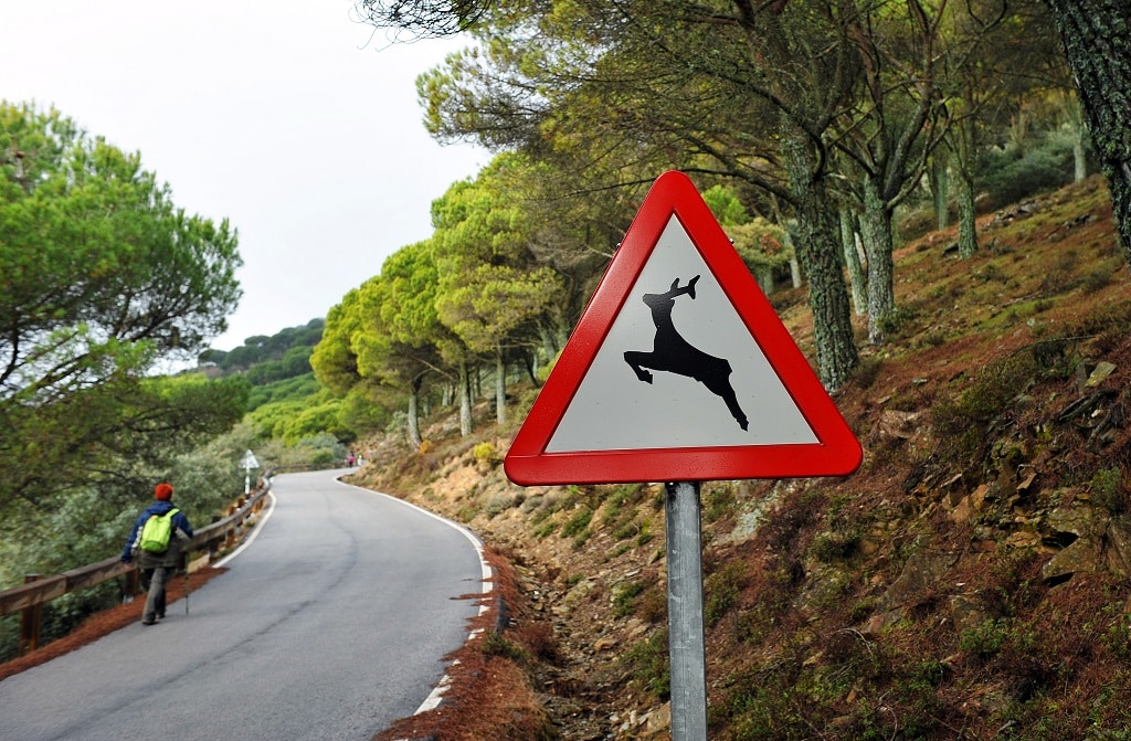 Señal de tráfico y carretera