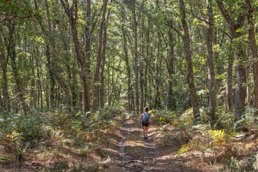 Ecoturismo en Álava