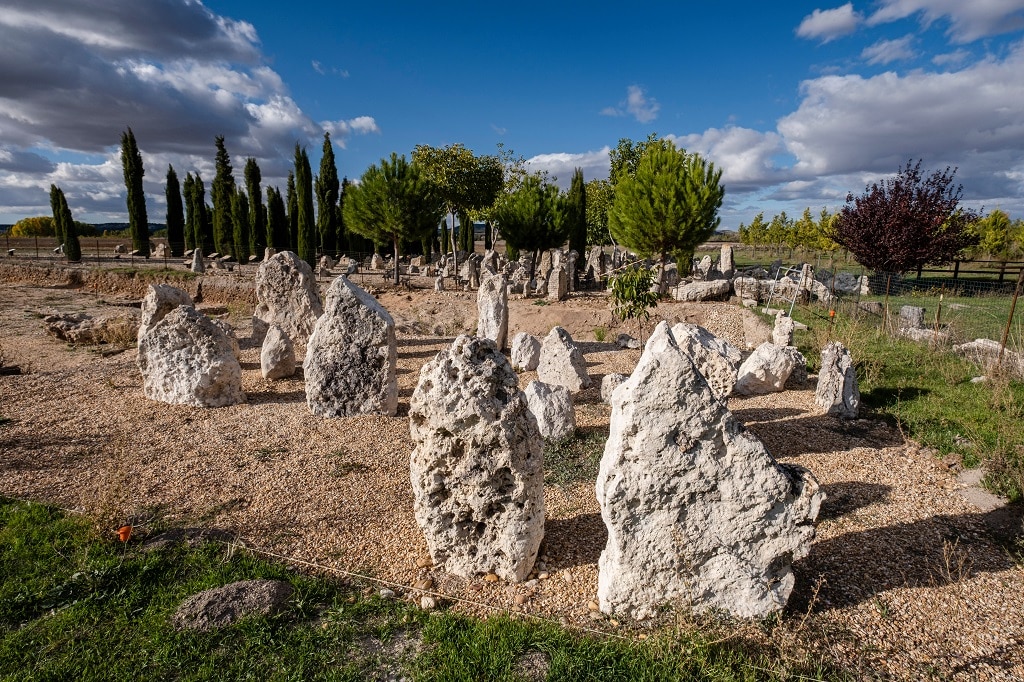Necrópolis de Las Ruedas, Pintia - Peñafiel