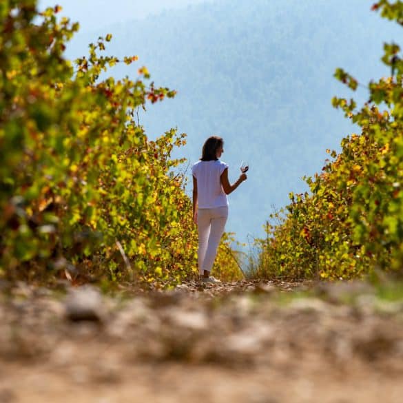 Una mujer vestida de blanco camina por un viñedo sosteniendo una copa de vino, rodeada de vides verdes y amarillas con una montaña brumosa al fondo.