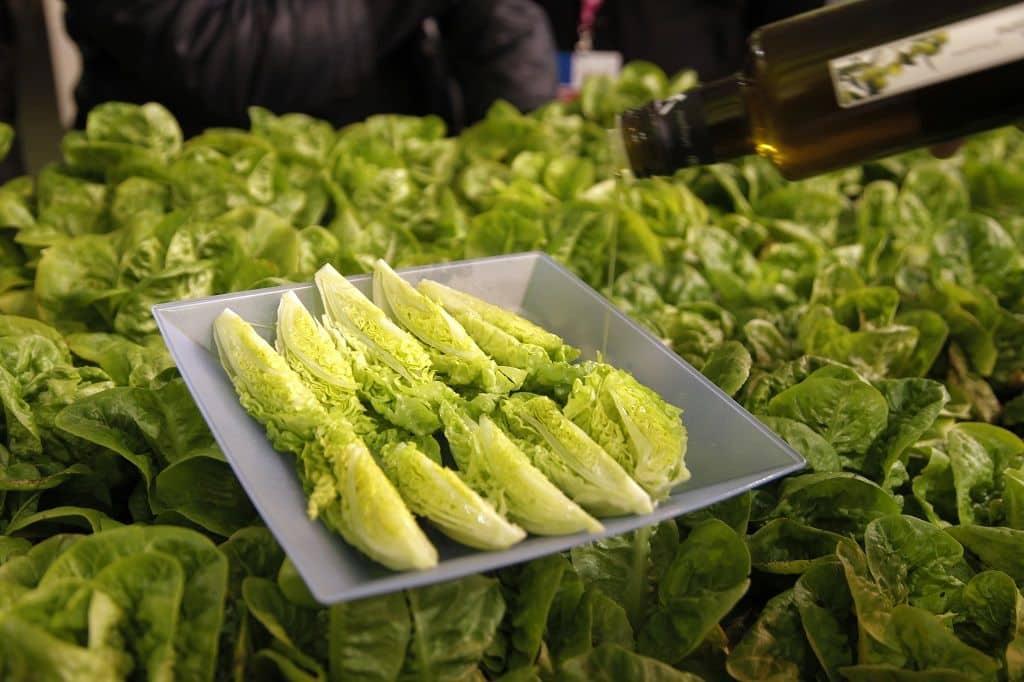 Lo mejor de la gastronomía de Navarra